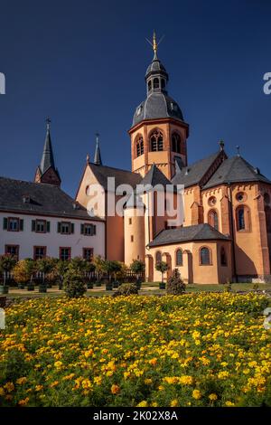 Germany, Hesse, Offenbach, Seligenstadt, Seligenstadt Monastery, Benedictine Abbey, Einhard Basilica of St. Marcellinus and St. Peter with flower meadow in convent garden on sunny day in early autumn Stock Photo