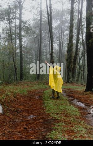 A person in yellow raincoat walking in a wet forest Stock Photo - Alamy