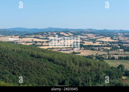 Fields and olive groves in Tuscany, Sasso d'Ombrone, Grosseto province, Tuscany, Italy Stock Photo