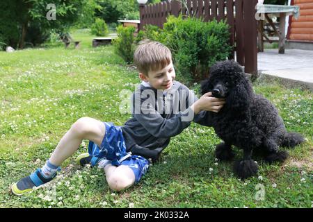 Child playing with poodle on front lawn in summer Stock Photo