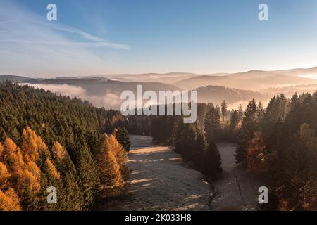 Germany, Thuringia, Großbreitenbach, Wildenspring, landscape, meadow, forest, mountains, valleys, Schwarza valley fog, Silhoeutten, side light Stock Photo