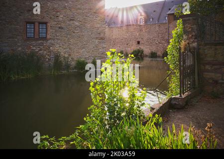 Water moat around castle turn, evening light, Vollrads Castle, Oestrich-Winkel, Rheingau, Hesse, Germany Stock Photo