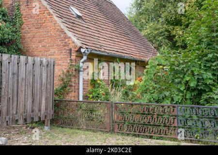 Old, abandoned, overgrown, small house Stock Photo