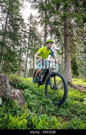 Italy, South Tyrol, Bolzano / Bozen, San Candido / Innichen. Rider with e-bike, free ride in the forest between pine trees Stock Photo