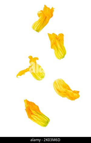 Cut apricot and almond isolated on white background with clipping path Stock Photo