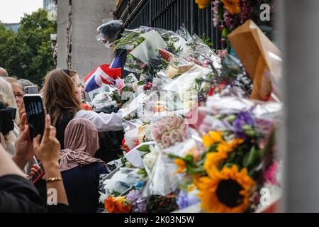 London, UK. 09th Sep, 2022. People bring flowers to the gates. Following the death of Queen Elizabeth II, crowds of mourners, as well as many tourists, lay flowers and pay their tributes at the gates to Buckingham Palace, and the area gets very crowded with people. Credit: Imageplotter/Alamy Live News Stock Photo