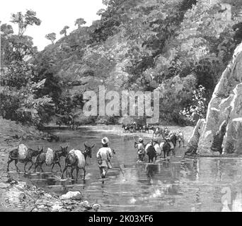'With the Chin-Lushai Expeditionary Force; A Mule Convoy crossing the Loung-Gut-Choung Stream', 1890. From &quot;The Graphic. An Illustrated Weekly Newspaper&quot;, Volume 41. January to June, 1890. Stock Photo
