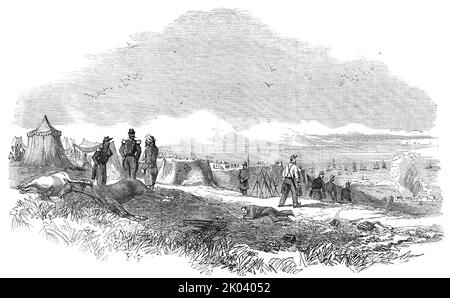 Scene in the French Camp, sketched the day after the Battle of the Alma, 1854. Crimean War; dead horses in the foreground. From &quot;Illustrated London News&quot;, 1854. Stock Photo