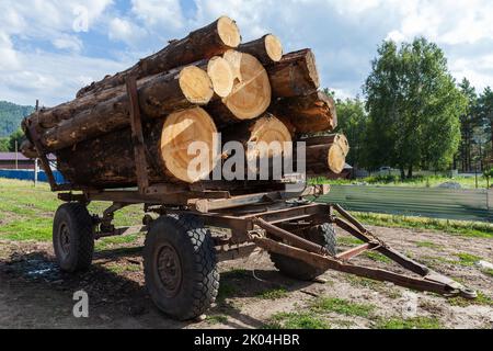 Truck trailer full of thick cedar logs stands on a roadside. Altay, Siberia, Russia Stock Photo