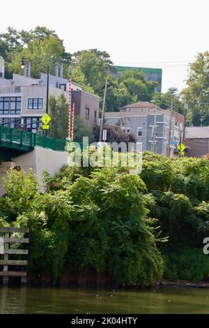 Buildings in lush vegetation next to Columbus Road Lift Bridge by Cuyahoga river in Cleveland, Ohio Stock Photo