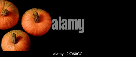 A banner with three ripe orange pumpkins on a black background. Stock Photo