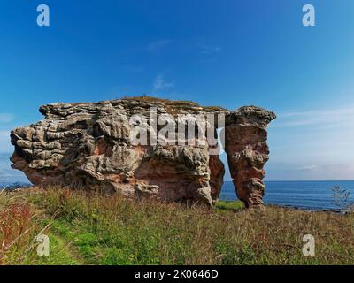 The Stack of Buddo Rock near to Boarhills Village along the Fife Coastal Path at Buddo Ness on a warm sunny day in Summer Stock Photo