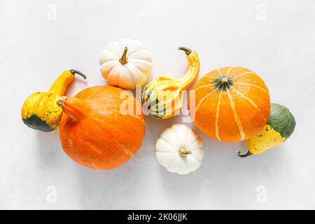 Pumpkins on white background. Autumn, fall, thanksgiving or halloween concept, flat lay, top view, copy space Stock Photo