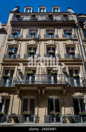 Cute boutique hotel in the Rue de la Sorbonne, Latin Quarter, 5th arrondissement, Paris, France Stock Photo