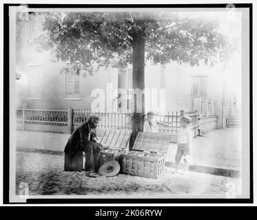 Old African-American man selling strawberries on street, Washington, D.C. - two small boys, one White and one African-American, are looking at the strawberries, c1900. Stock Photo