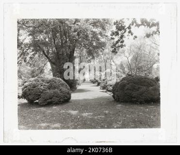 &quot;Brandon,&quot; Robert Williams Daniel house, Prince George County, Virginia, 1928. House Architecture: Central brick southern colonial house with hyphens, built from the late seventeenth century. Landscape: Marjorie Campbell Daniel. Stock Photo