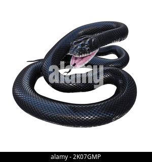 Black rat snake 3D illustration. Stock Photo