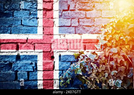 Iceland grunge flag on brick wall with ivy plant sun haze view, country symbol concept Stock Photo