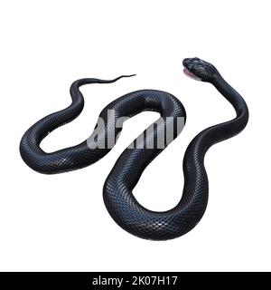 Black rat snake 3D illustration. Stock Photo