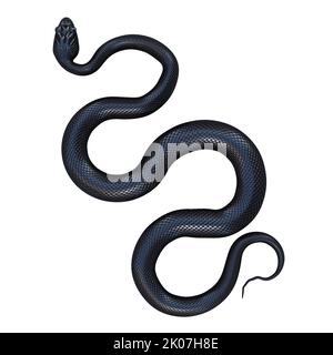 Black rat snake 3D illustration. Stock Photo