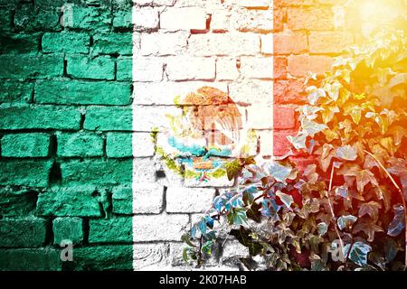 Mexico grunge flag on brick wall with ivy plant sun haze view, country symbol concept Stock Photo