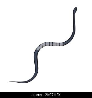 Black rat snake 3D illustration. Stock Photo