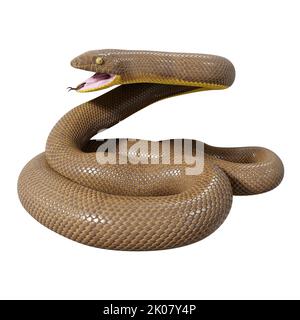 Malayan Krait 3D illustration Stock Photo