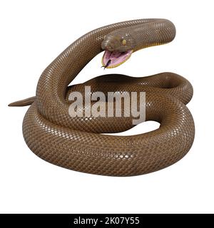 Malayan Krait 3D illustration Stock Photo