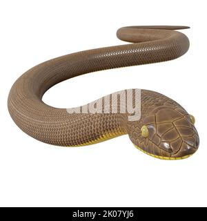 Malayan Krait 3D illustration Stock Photo