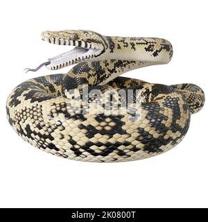 Scrub python 3D illustration. Stock Photo