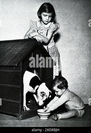 Brother and sister playing with the family dog. Illustration in a newspaper of family life in Britain in the 1950s Stock Photo