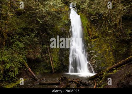 WA21973-00...WASHINGTON - Madison Falls located in the Elwha River Valley of Olympic National Park. Stock Photo
