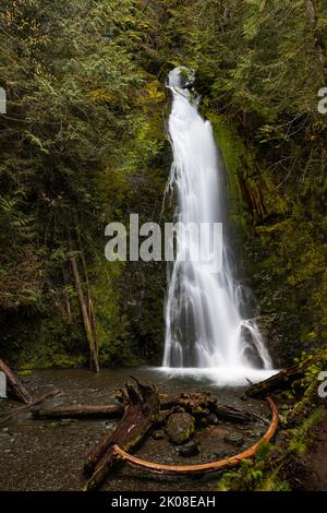 WA21974-00...WASHINGTON - Madison Falls located in the Elwha River Valley of Olympic National Park. Stock Photo