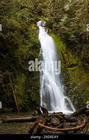 WA21977-00...WASHINGTON - Madison Falls located in the Elwha River Valley of Olympic National Park. Stock Photo