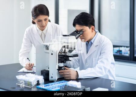 Chinese researchers working in laboratory Stock Photo