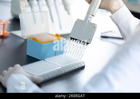 Chinese scientist pipetting samples in laboratory Stock Photo