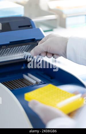 Chinese scientist examining medical samples in laboratory Stock Photo