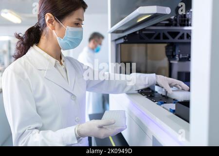 Two Chinese researchers working in laboratory Stock Photo