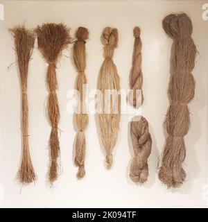 Flax fiber in various types of processing on a white wall Stock Photo