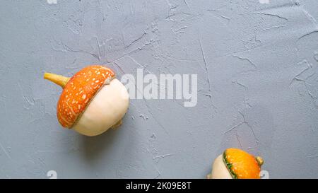 Two small yellow pumpkins on gray concrete background. Autumn, fall, halloween concept. Trend shadow and copy space for text. Top view. Stock Photo