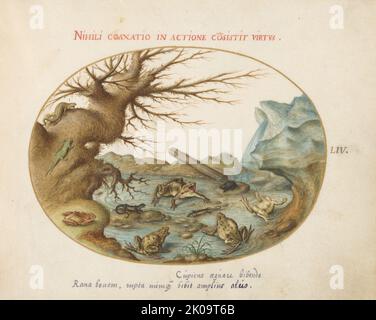 Animalia Qvadrvpedia et Reptilia (Terra): Plate LIV, c. 1575/1580. Stock Photo