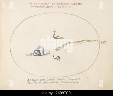 Animalia Qvadrvpedia et Reptilia (Terra): Plate LX, c. 1575/1580. Stock Photo