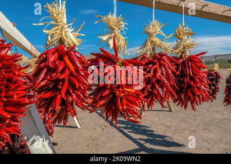Short strings of red chili peppers for sale on the side of the road at Tucson, Arizona. Set of hanging chili peppers on a wooden stand against the blu Stock Photo