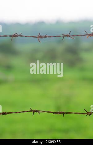 Rusty fence chains in two rows with green colored background. Used selective focus. Stock Photo
