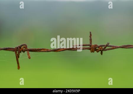 Old metallic rusty fence chain with green colored background. Used selective focus. Stock Photo