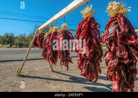 Hanging strings of dried chili peppers beside the road near the shrubland at Tucson, Arizona. Hanging row of chili peppers against the view of a highw Stock Photo