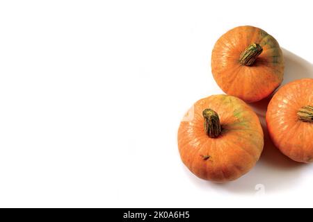 A banner with three orange pumpkins on a white background.  Stock Photo