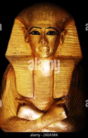 Small coffin contained lock of hair of Queen Tiy. Queen Tiye (c. 1398 BC - 1338 BC) was the daughter of Yuya and Tjuyu. She became the Great Royal Wife of the Egyptian pharaoh Amenhotep III. She was the mother of Akhenaten and grandmother of Tutankhamun Stock Photo