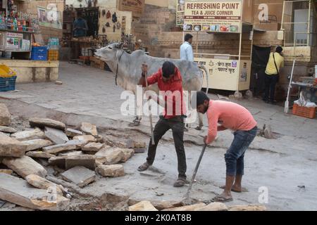 street worker wit cow and shovel Stock Photo