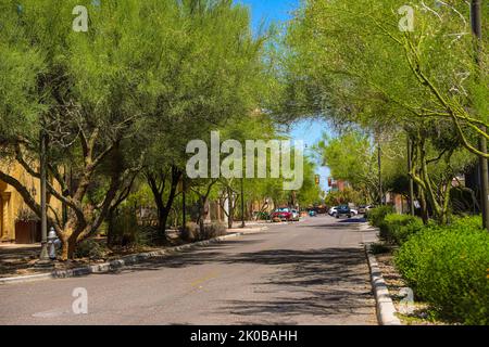street and green area with palo verde trees in Downtown Tucson, Arizona, United States. City of Tucson. is a city in Arizona, in the Sonoran desert, surrounded by several mountain ranges, including the Sierra de Santa Catalina. The restored mansions of the El Presidio Historic District and the adobe row houses of the Barrio Historico reflect the city's 19th-century beginnings. Tucson is home to the University of Arizona and has many vintage shops, nightclubs and restaurants on Fourth Avenue (© Photo Luis Gutierrez by NortePhoto.com) Centro de la ciudad de Tucson, Arizona ,United States. City o Stock Photo